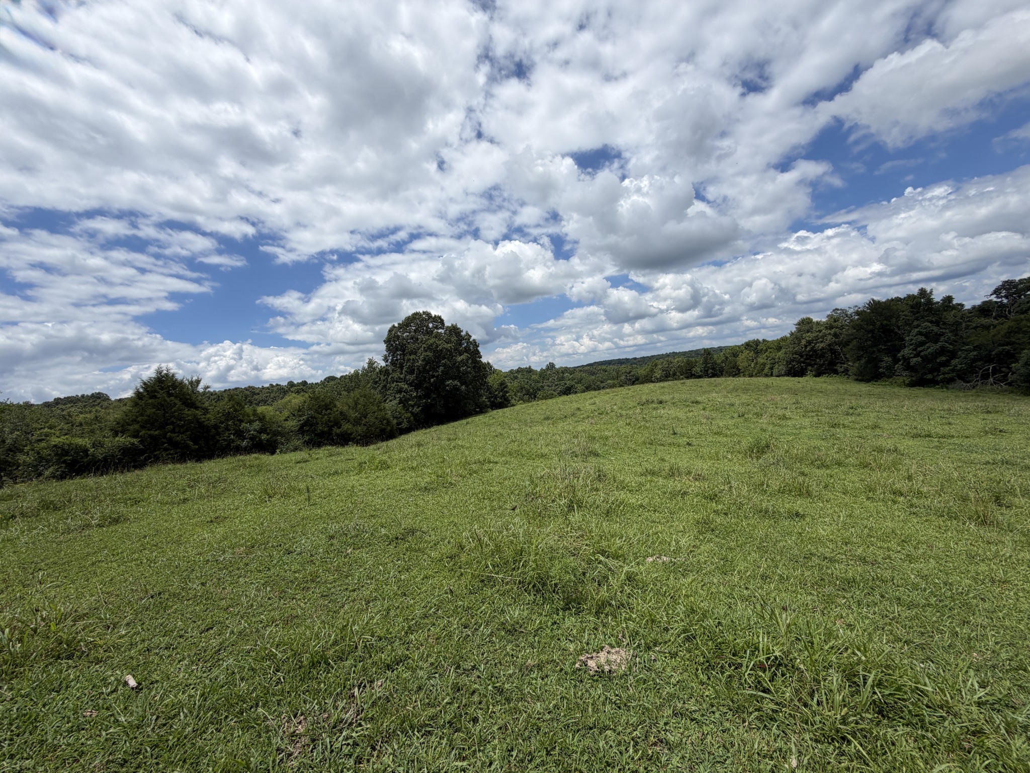 5141 Devers Road Southside, TN 37171 - Photo 12 of 33 Gallery Image 12