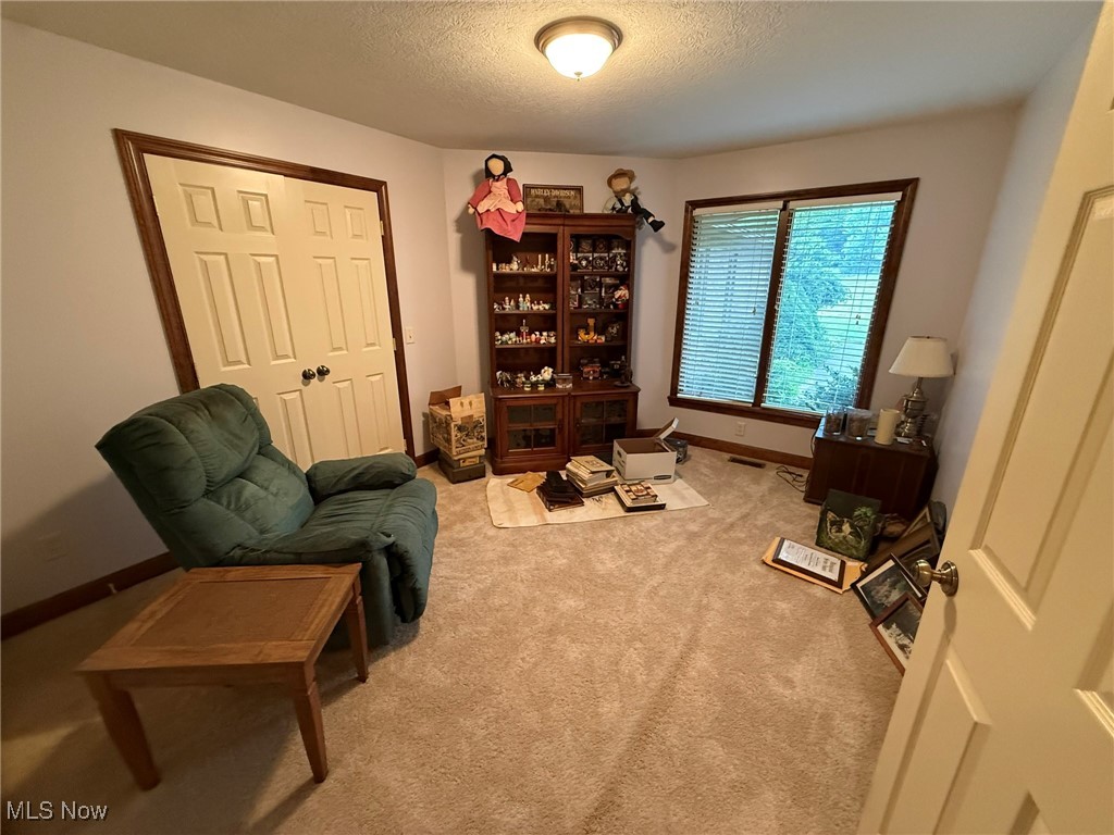 2597 Pyle Road Dover, OH 44622 - Photo 38 of 50 Living area featuring a textured ceiling and carpet floors