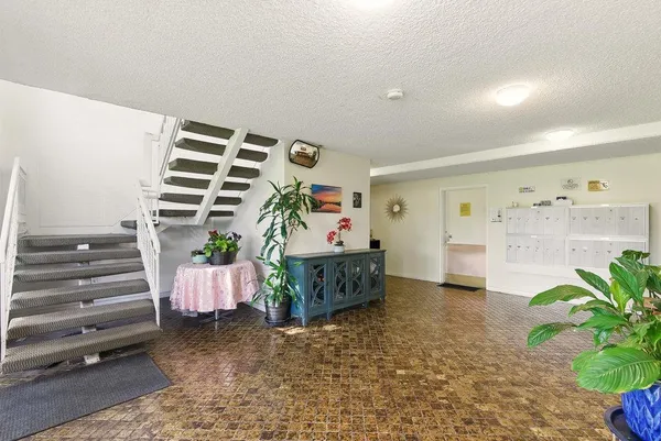 a living room with furniture and a potted plant