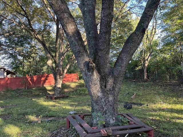 1601 Oberle Road Memphis, TN 38127 - Photo 20 of 20 a view of a tree in a yard with a tree