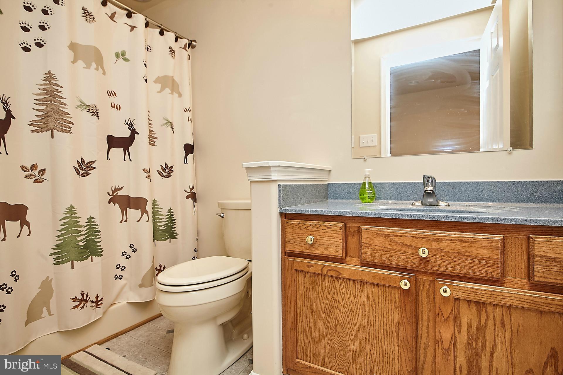 13467 Silver Hill Road Sumerduck, VA 22742 - Photo 22 of 30 Lower Level Full Bath