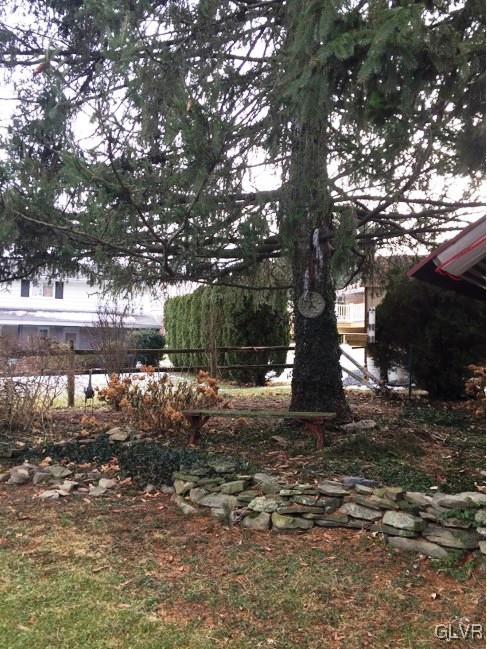 2912 Middletown Road Bethlehem, PA 18020 - Photo 8 of 17 a tree in the middle of a yard
