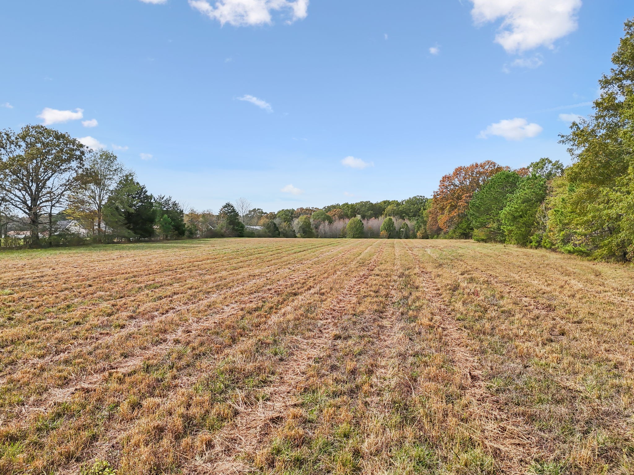 283 Carter Road Tullahoma, TN 37388 - Photo 70 of 81 Gallery Image 70
