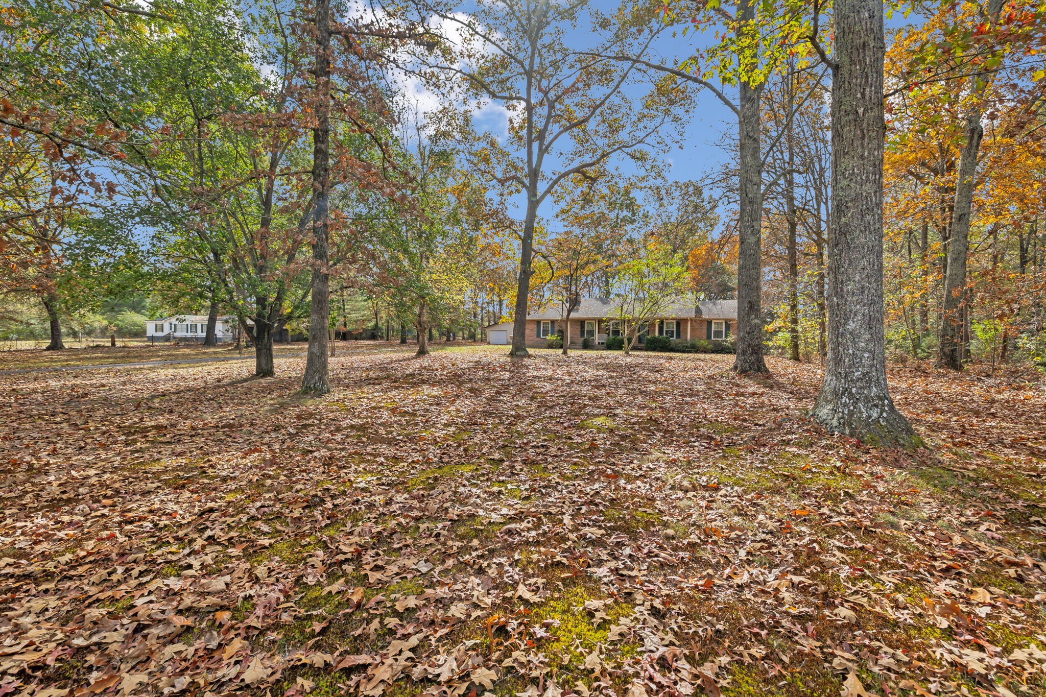 283 Carter Road Tullahoma, TN 37388 - Photo 7 of 81 Gallery Image 7