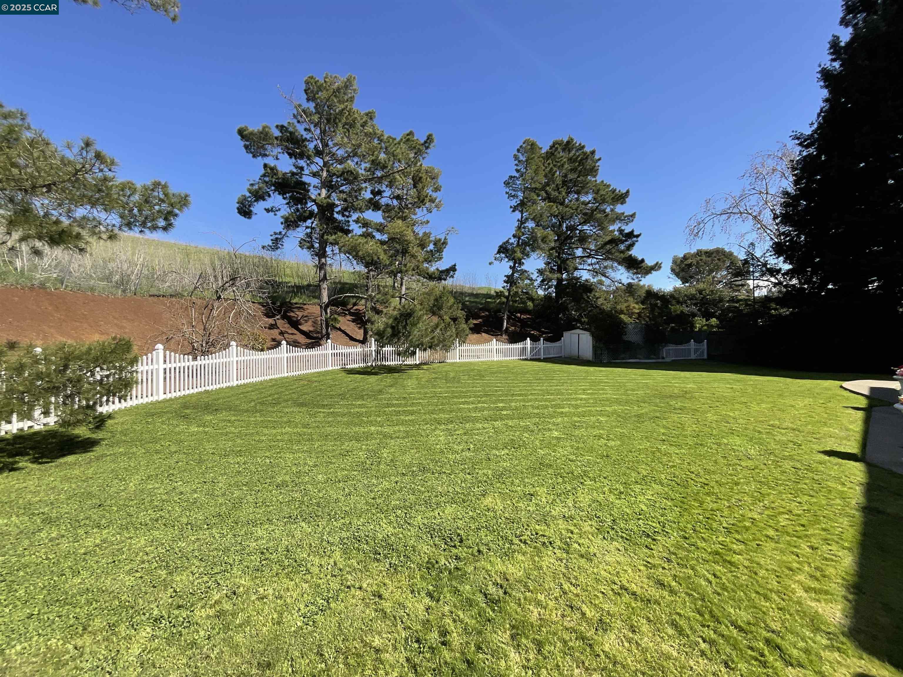 403 Gerald Court Benicia, CA 94510 - Photo 5 of 59 a view of yard with grass & palm trees