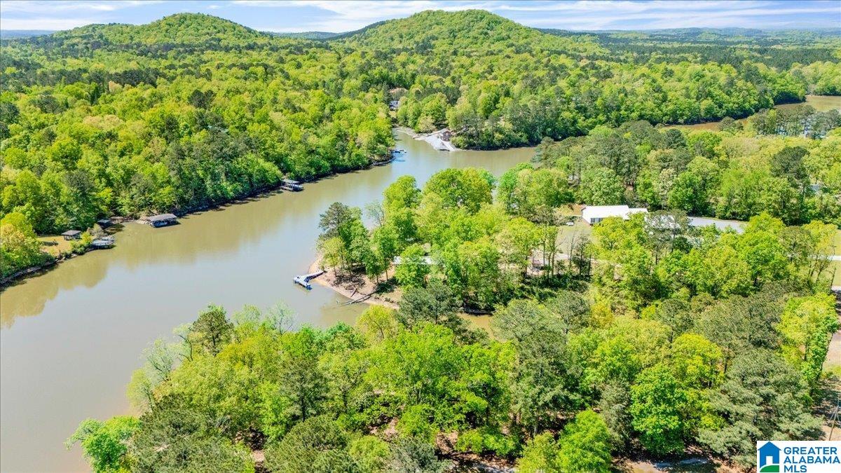 3955 River Ranch Road Ragland, AL 35131 - Photo 36 of 37
