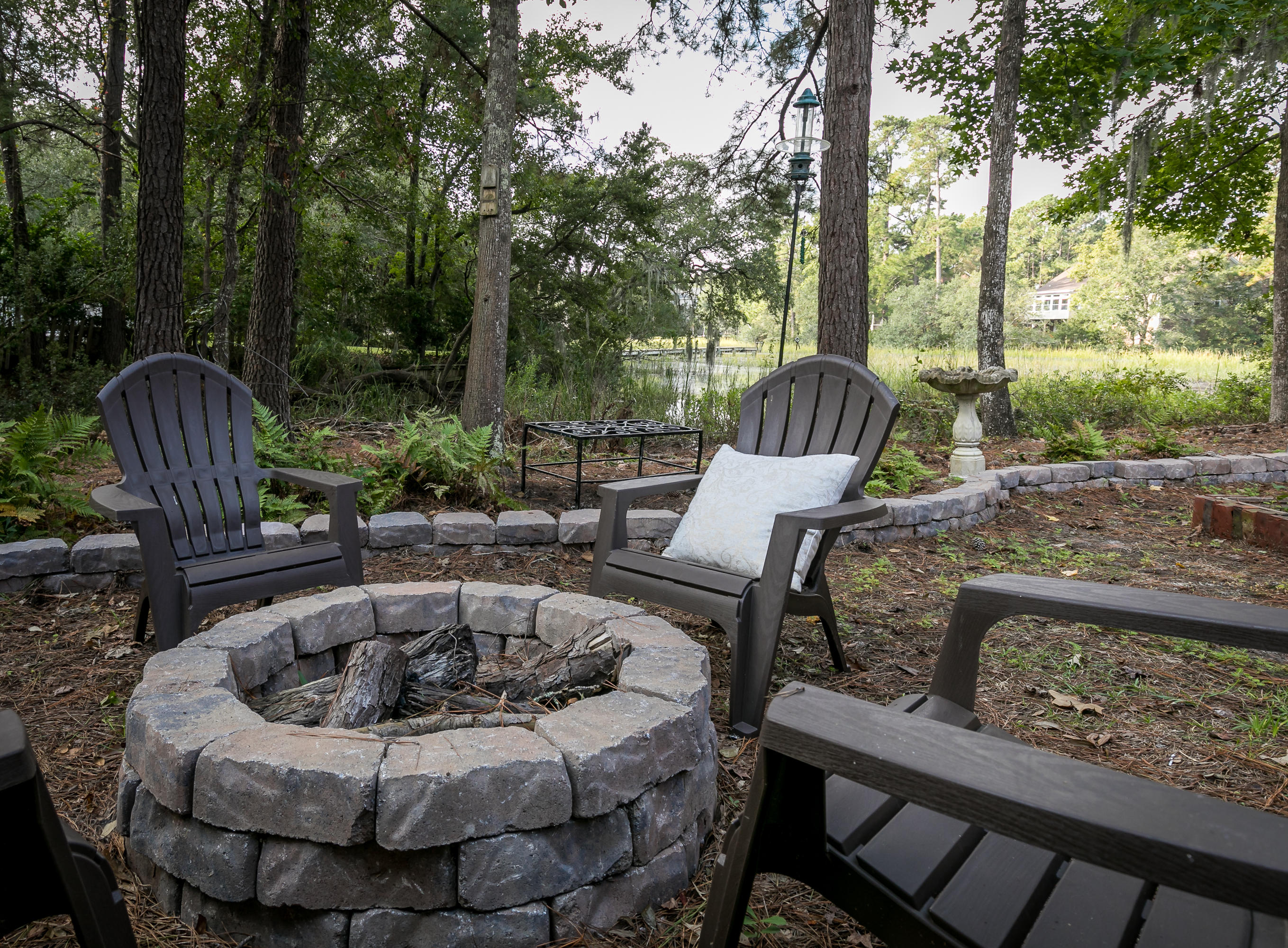 441 Rice Field Cove Mount Pleasant, SC 29464 - Photo 37 of 46 37--FULL