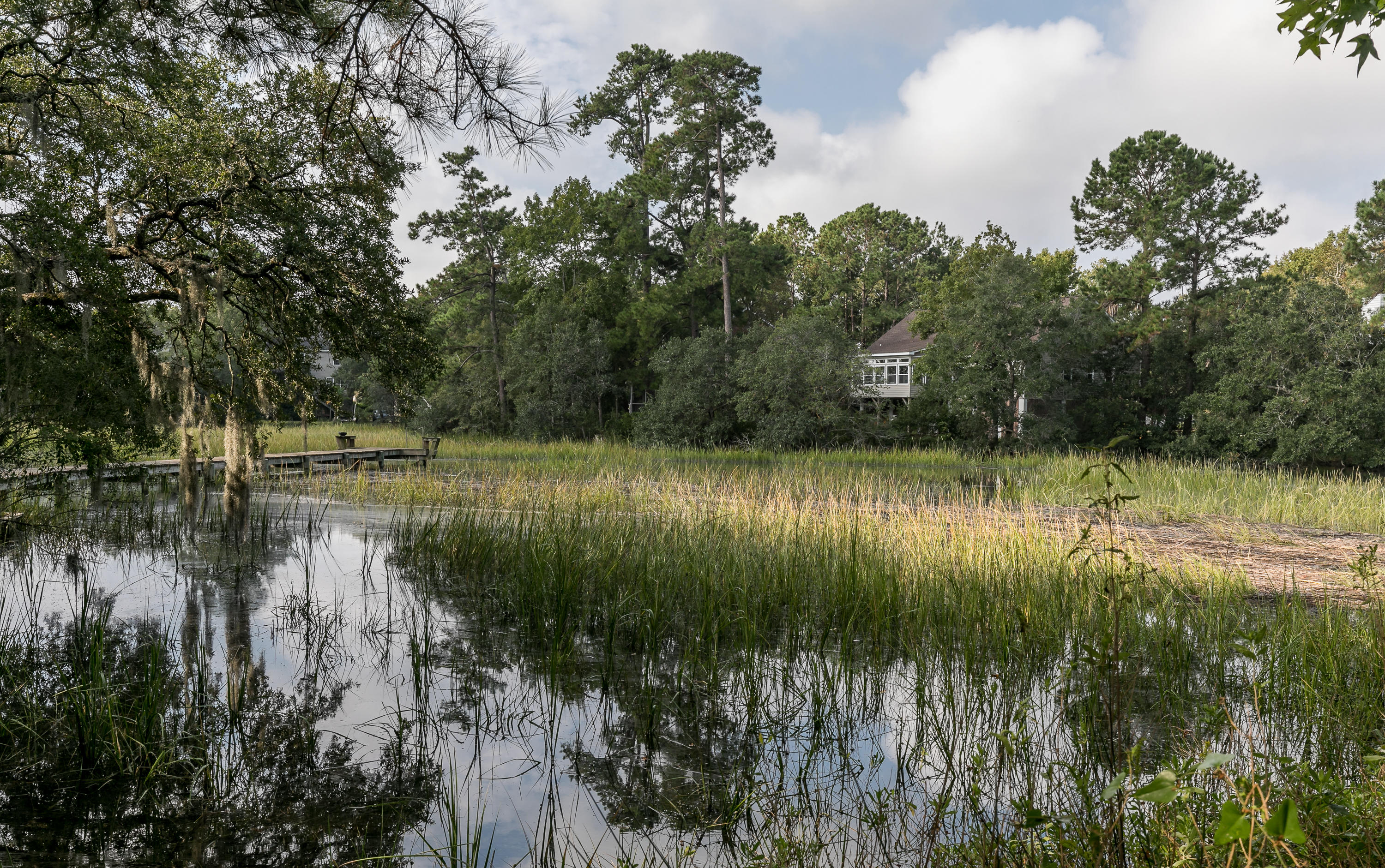 441 Rice Field Cove Mount Pleasant, SC 29464 - Photo 38 of 46 38--FULL
