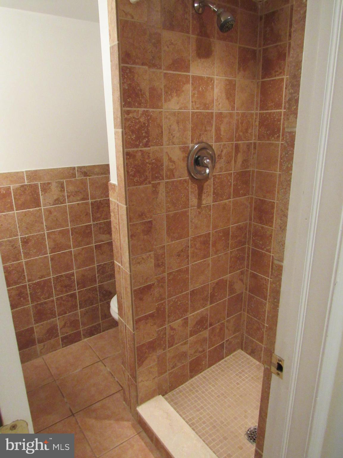 1130 Rodman Street, Unit 1 Philadelphia, PA 19147 - Photo 17 of 21 Full bath