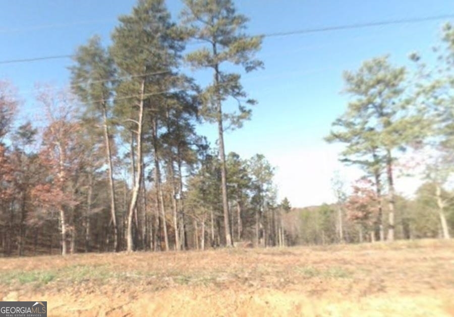 125 Raven Cliff Road Talking Rock, GA 30175 - Photo 1 of 1 Gallery Image 1
