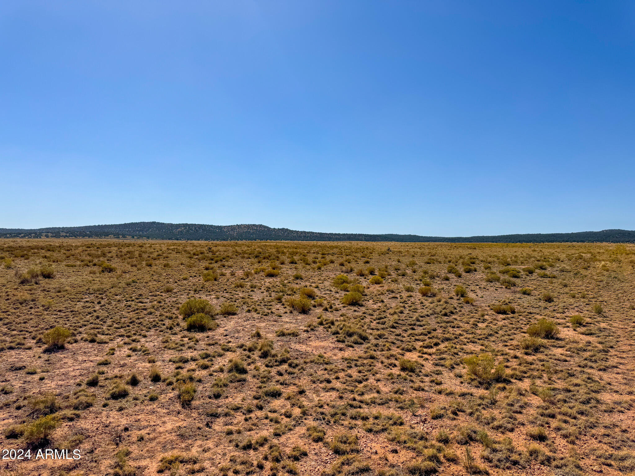 Antelope Antelope Valley Ranches Seligman, AZ 86337 - Photo 11 of 12 IMG_7360 (1)