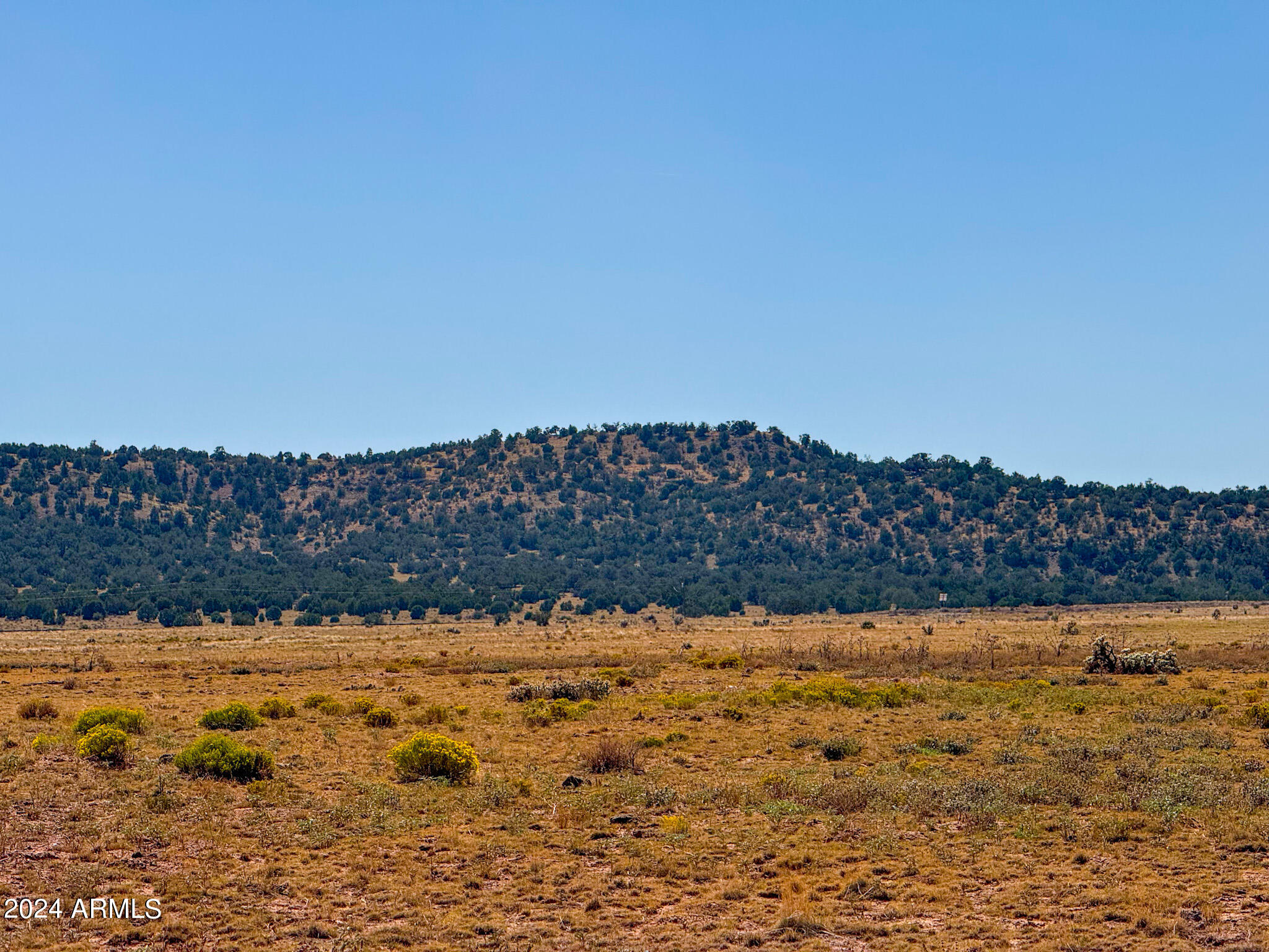 Antelope Antelope Valley Ranches Seligman, AZ 86337 - Photo 2 of 12 IMG_7352 (1)