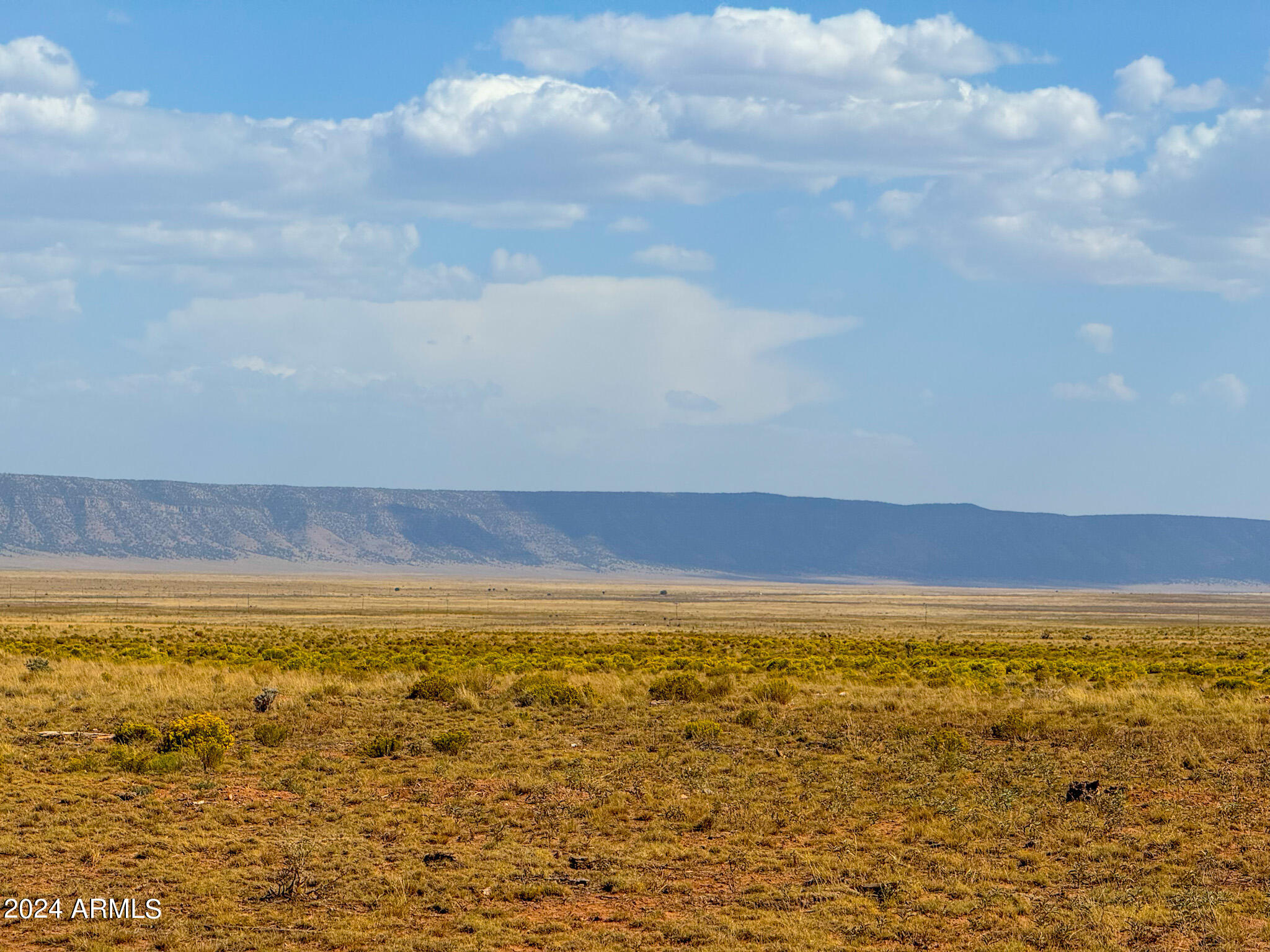 Antelope Antelope Valley Ranches Seligman, AZ 86337 - Photo 5 of 12 IMG_7356 (2)