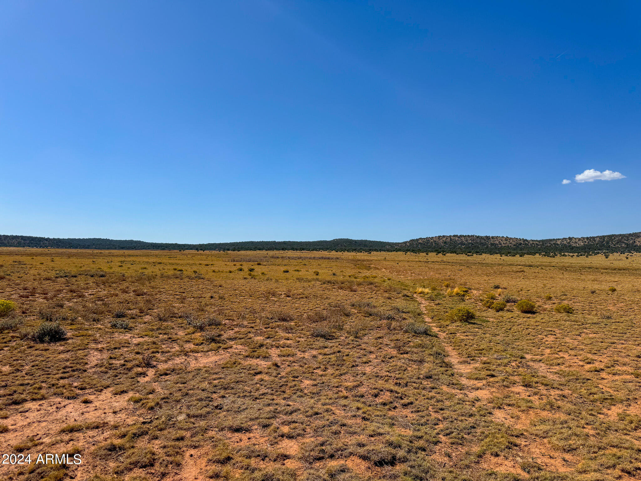 Antelope Antelope Valley Ranches Seligman, AZ 86337 - Photo 7 of 12 IMG_7350 (1)
