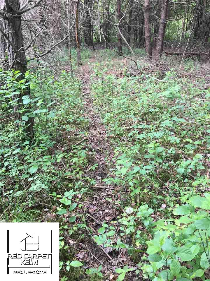 75 Birch Run Birch Run, MI 48415 - Photo 6 of 12