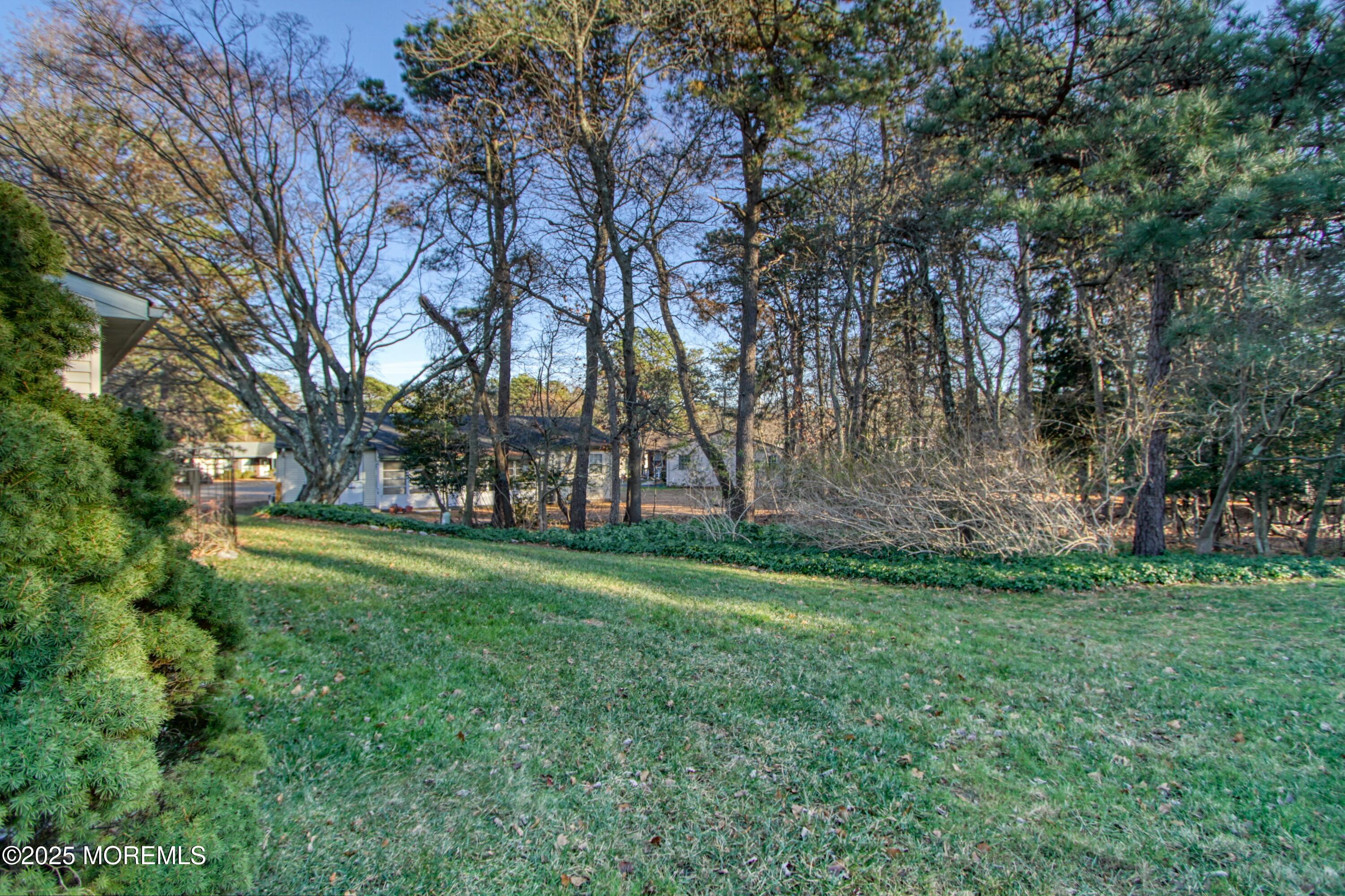 9 Greenleaf Street Whiting, NJ 08759 - Photo 16 of 16 a view of a grassy field with trees