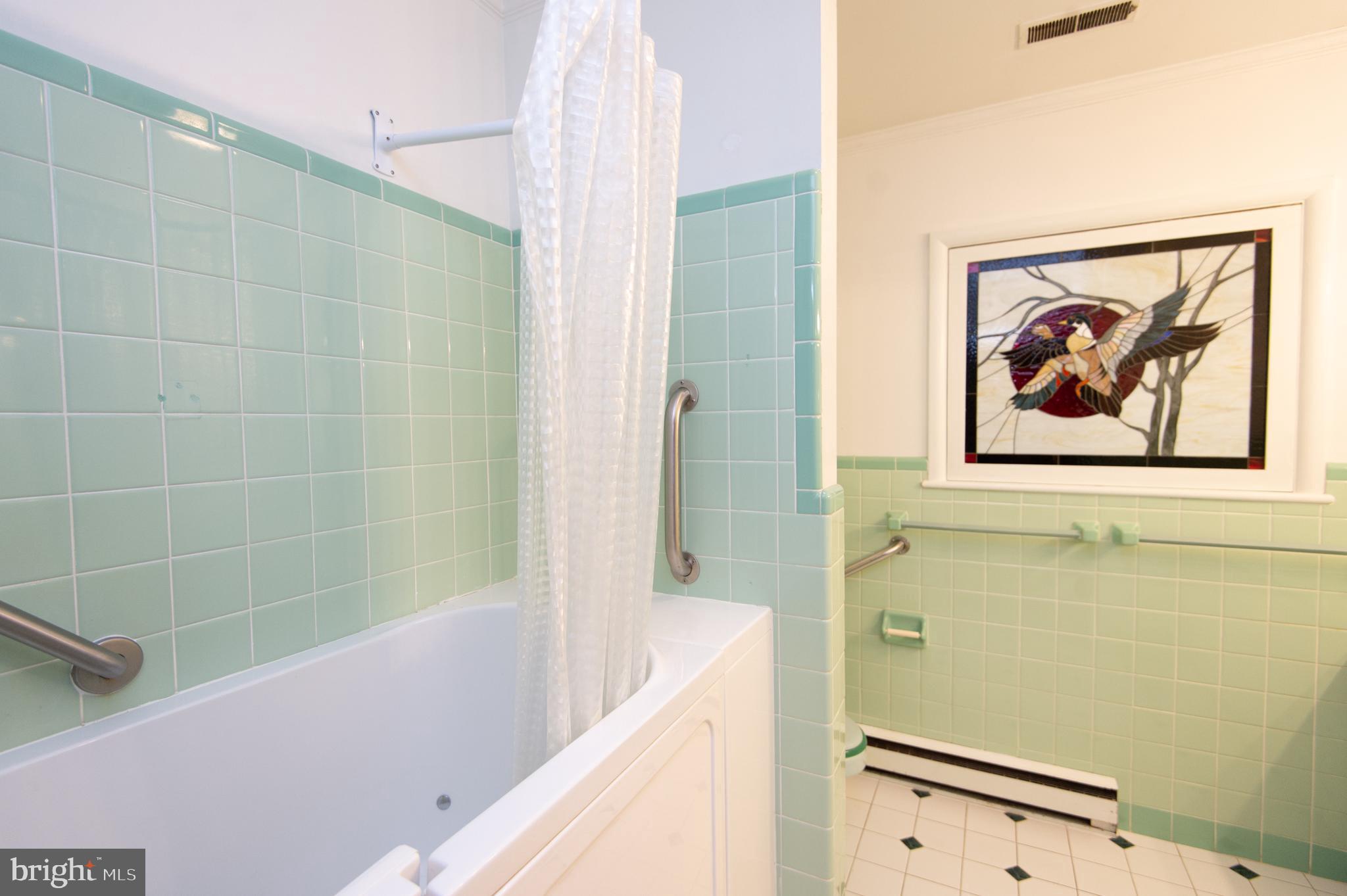 5452 Tates Bank Road Cambridge, MD 21613 - Photo 38 of 64 Bathroom with walk-in tub