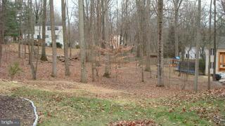 11829 Larry Road Fairfax, VA 22030 - Photo 3 of 16 Exterior (Rear)