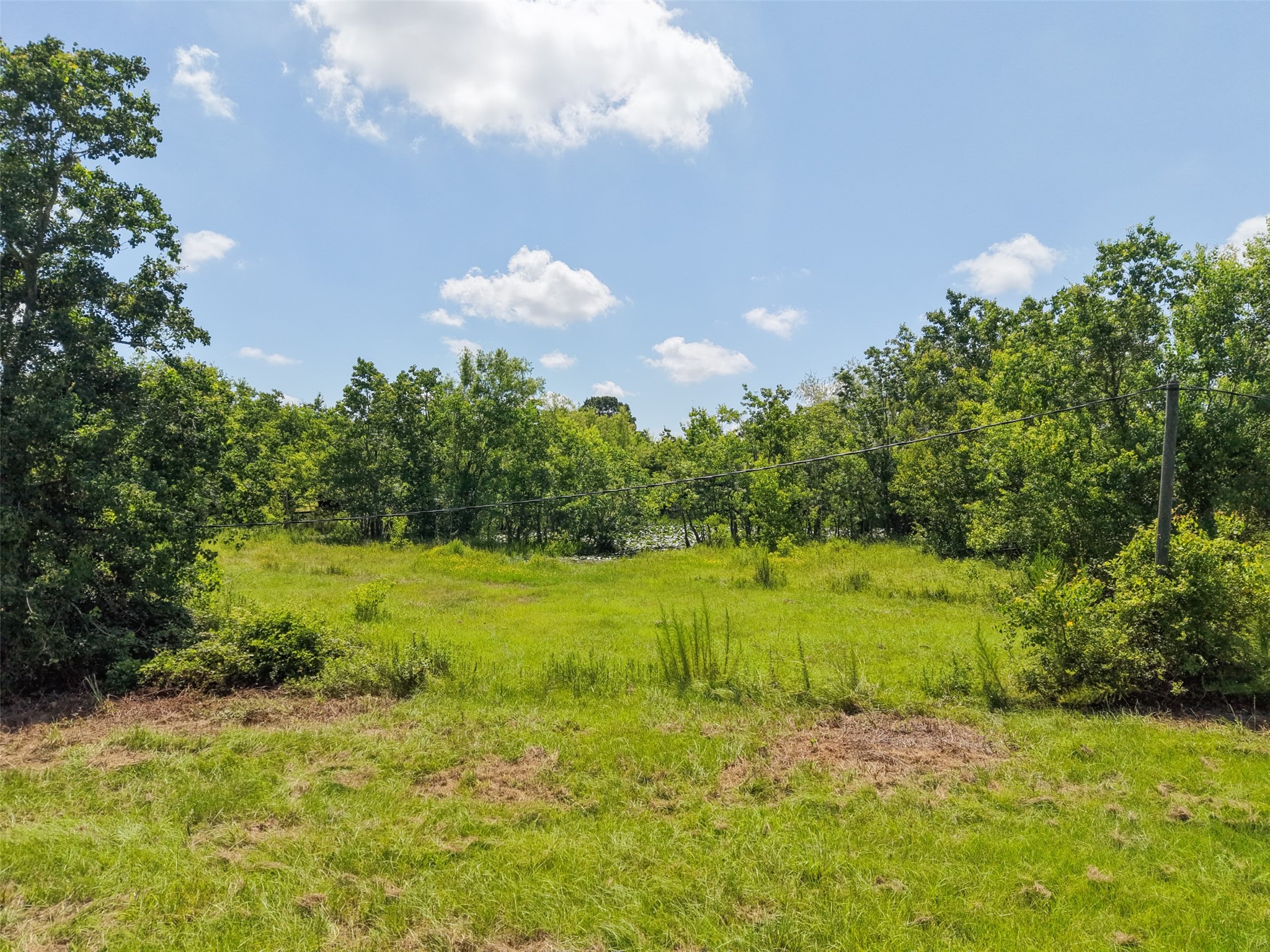 28619 Barry Lane Waller, TX 77484 - Photo 24 of 28 Gently cleared land ready for agricultural use, horses, gardening, or creating your own private country retreat.