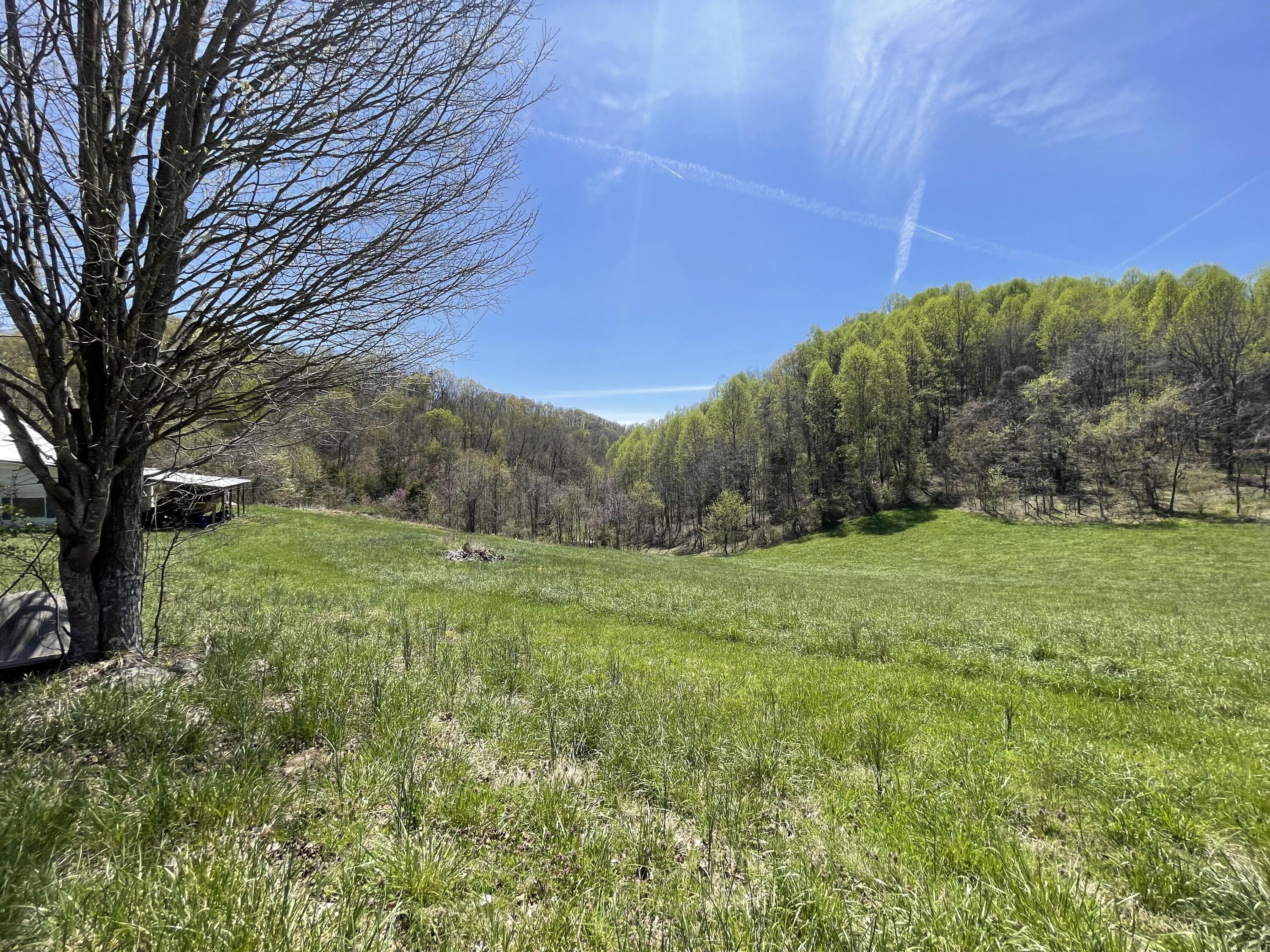 284 South Summer Sound Road, Unit 1 Piney Flats, TN 37686 - Photo 14 of 27 8A429661-157B-418F-A1D6-8262E30280E9