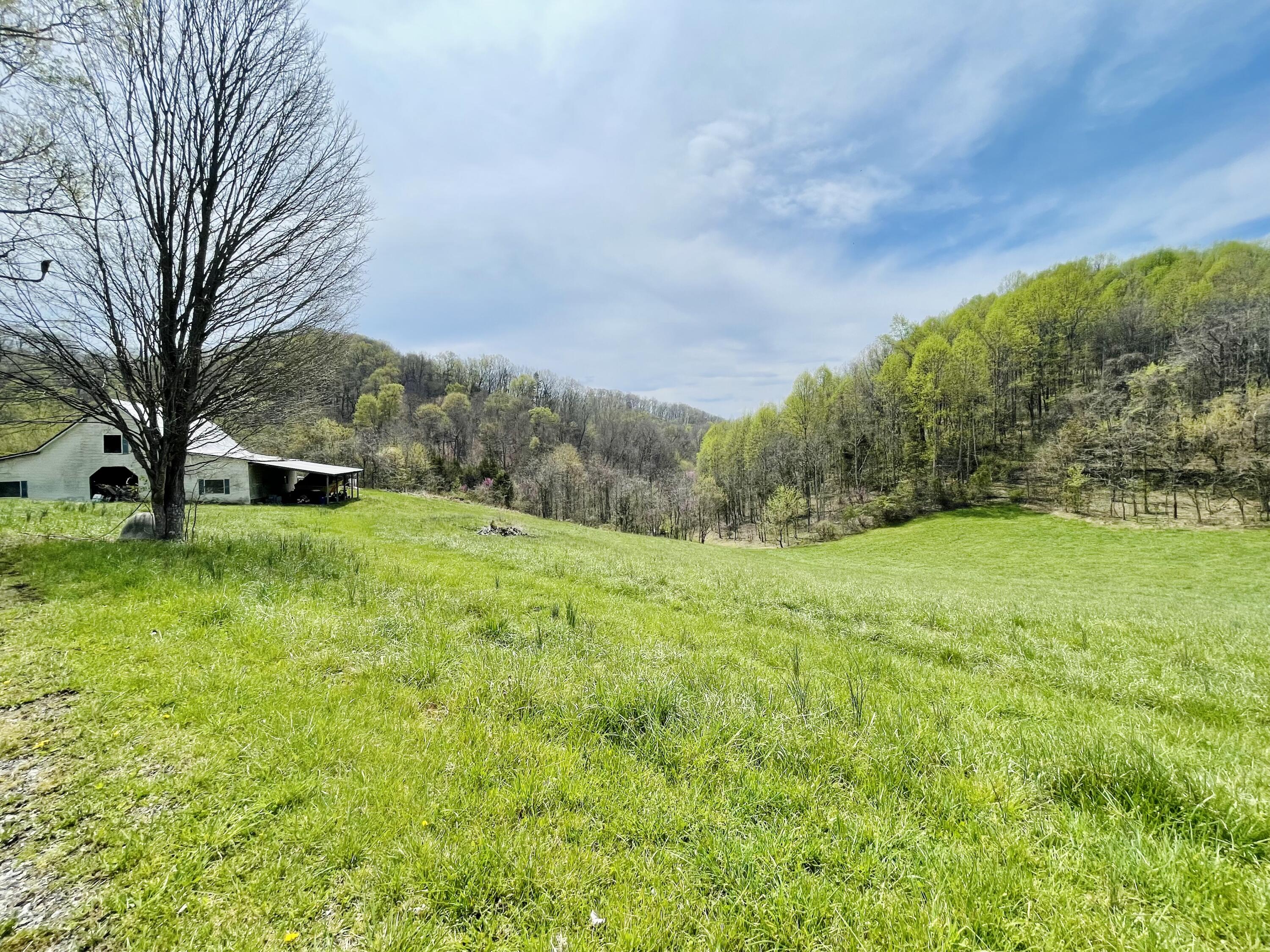 284 South Summer Sound Road, Unit 1 Piney Flats, TN 37686 - Photo 5 of 27 2FD5E5A1-D5D9-47CE-89A2-740C69558EA4