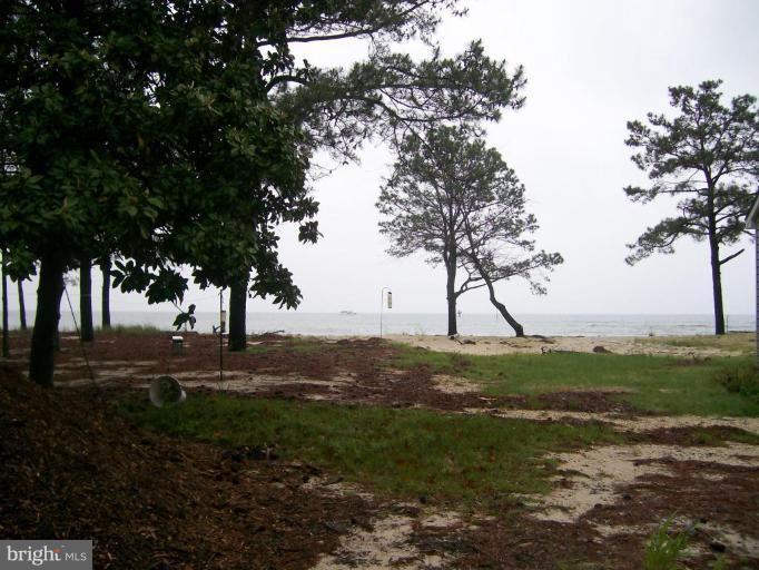 16280 Murray Road Ridge, MD 20680 - Photo 15 of 15 a view of dirt field with trees around