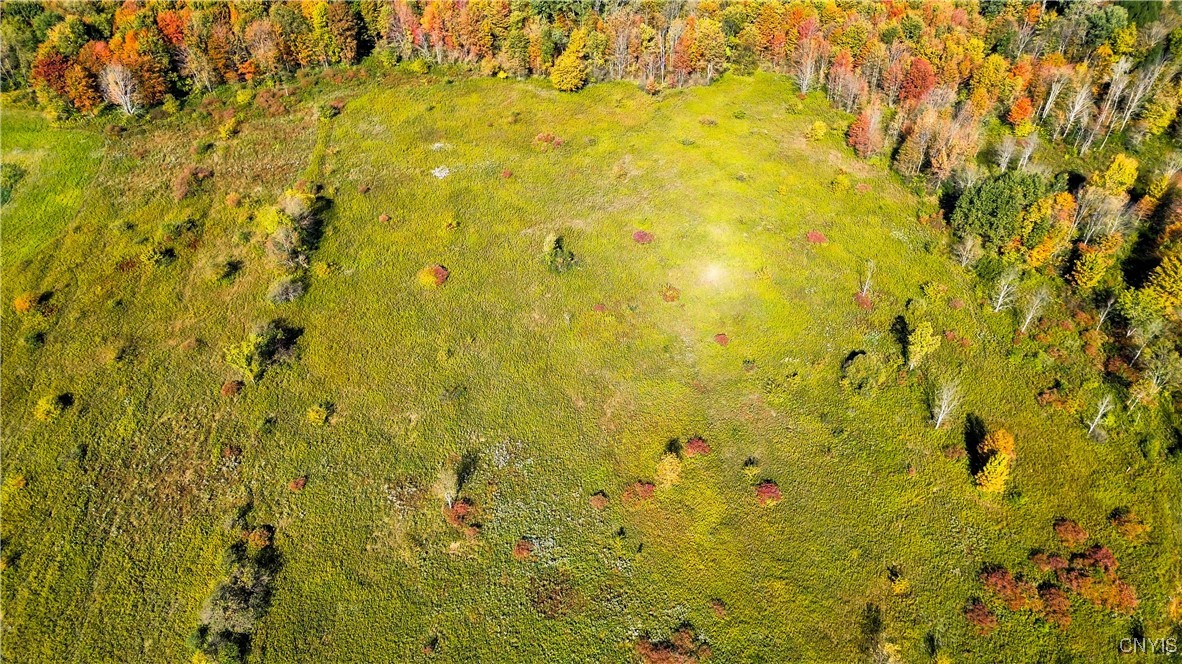 672 Fishing Rock Road Newport, NY 13416 - Photo 11 of 21