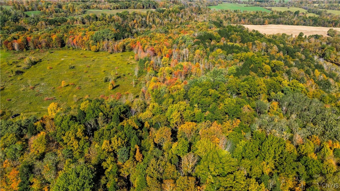 672 Fishing Rock Road Newport, NY 13416 - Photo 15 of 21