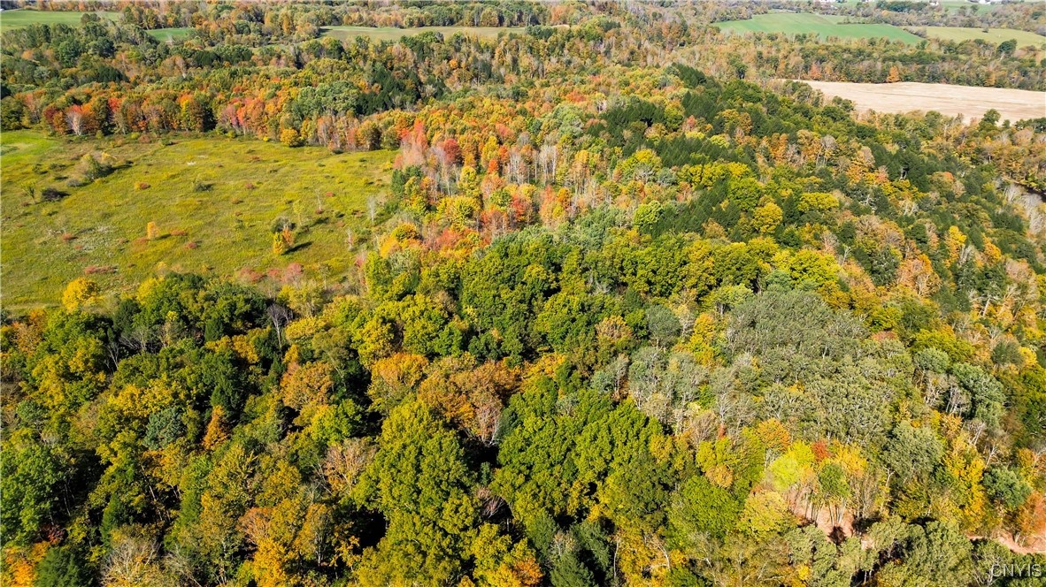 672 Fishing Rock Road Newport, NY 13416 - Photo 16 of 21