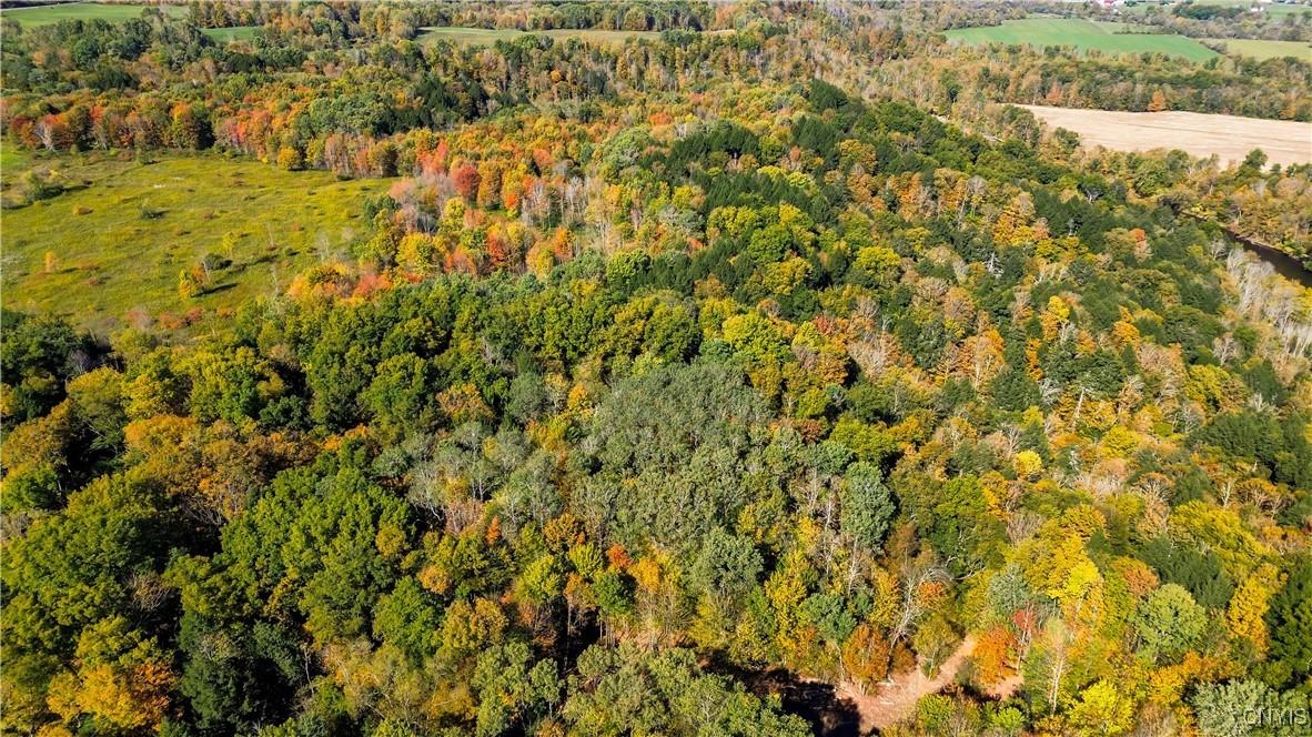 672 Fishing Rock Road Newport, NY 13416 - Photo 17 of 21