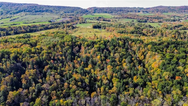 $145,000 | 672 Fishing Rock Road, Newport, NY 13416