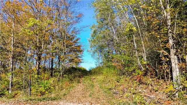 $145,000 | 672 Fishing Rock Road, Newport, NY 13416