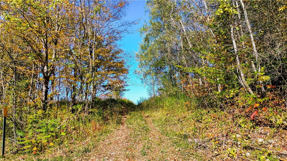 672 Fishing Rock Road Newport, NY 13416 - Photo 5 of 21