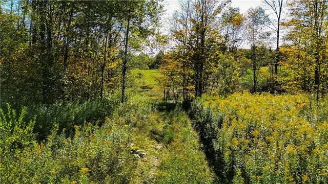 $145,000 | 672 Fishing Rock Road, Newport, NY 13416