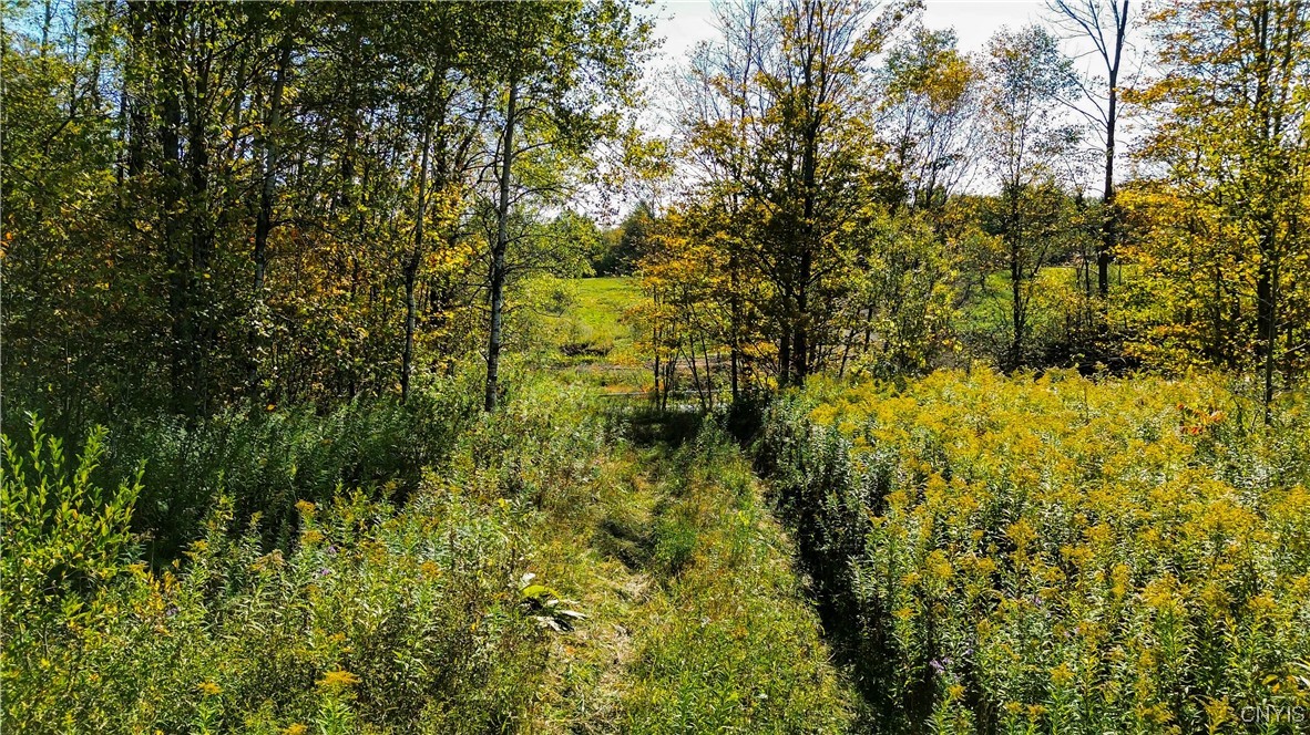 672 Fishing Rock Road Newport, NY 13416 - Photo 7 of 21