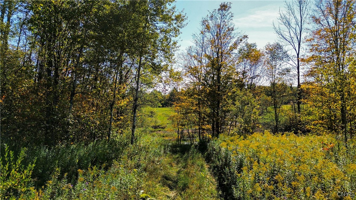 672 Fishing Rock Road Newport, NY 13416 - Photo 8 of 21