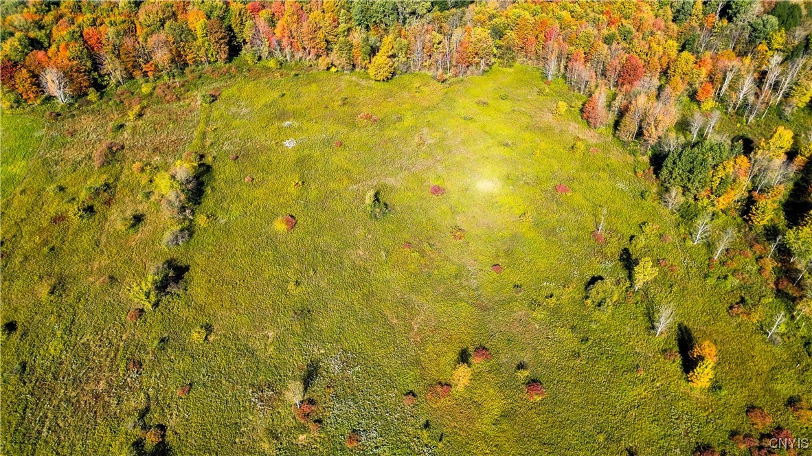 672 Fishing Rock Road Newport, NY 13416 - Photo 10 of 21