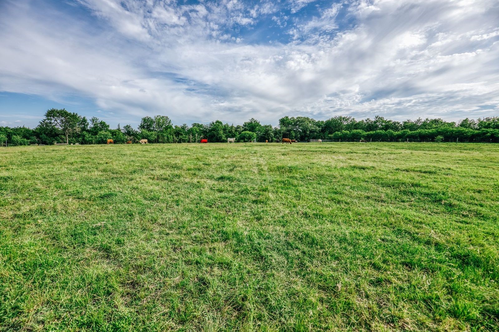 19576 Pickens Road Washington, TX 77880 - Photo 32 of 44