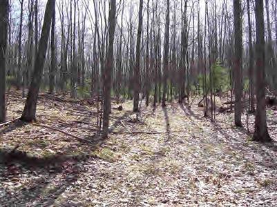 9 Mile) Nine Mile Bridge Road Wellston, MI 49689 - Photo 2 of 3 Additional Photo