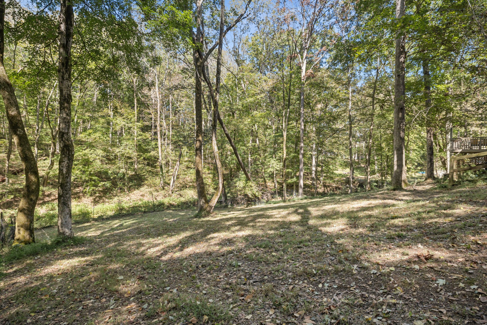 113 Beulah Boulevard Pleasant View, TN 37146 - Photo 37 of 41