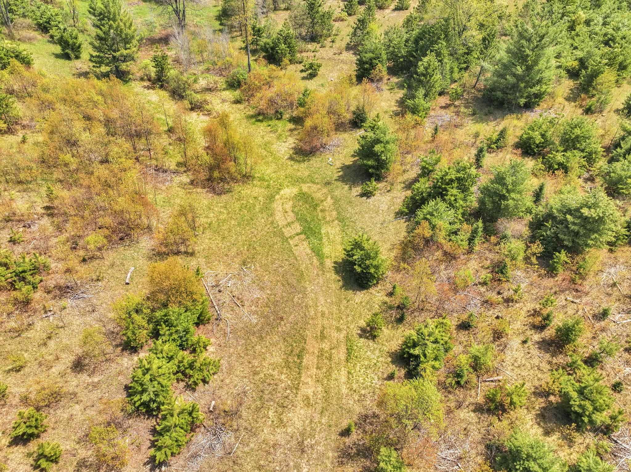 22386 16 Mile Road Leroy, MI 49655 - Photo 59 of 63