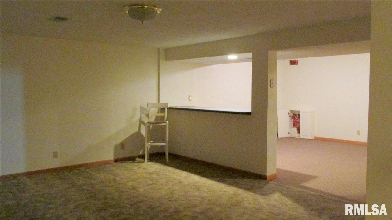 21939 Green River Road Colona, IL 61241 - Photo 16 of 19 Gallery Image 16