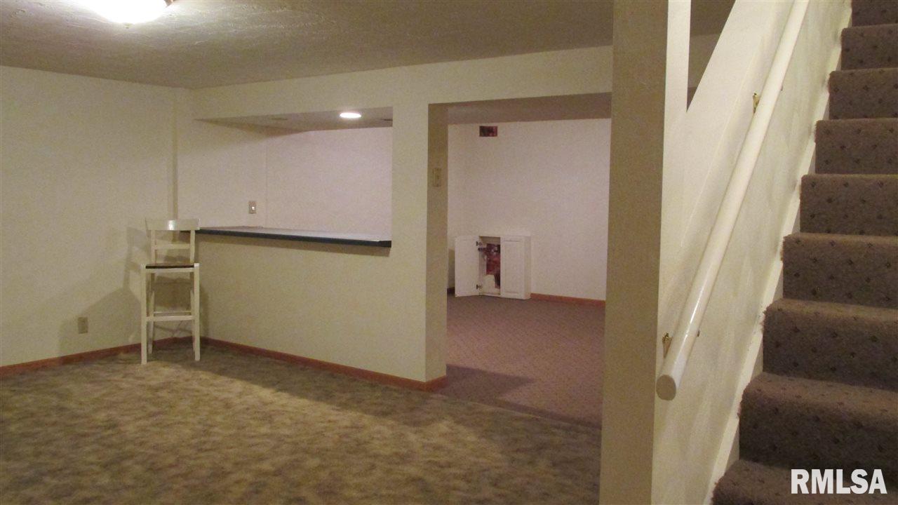 21939 Green River Road Colona, IL 61241 - Photo 18 of 19 Gallery Image 18