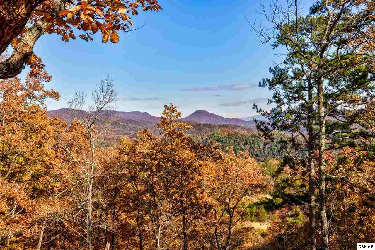 14 Autumn Ridge Way Sevierville, TN 37876 - Photo 5 of 7