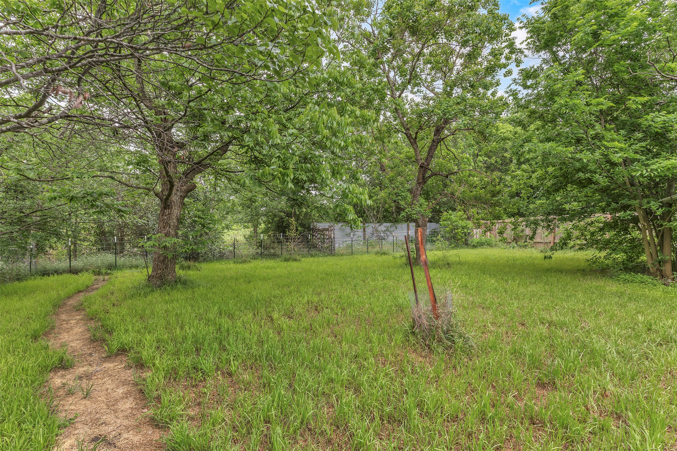 1002 Washburn Street Taylor, TX 76574 - Photo 26 of 29 The property features a spacious yard with a grass lawn and mature trees