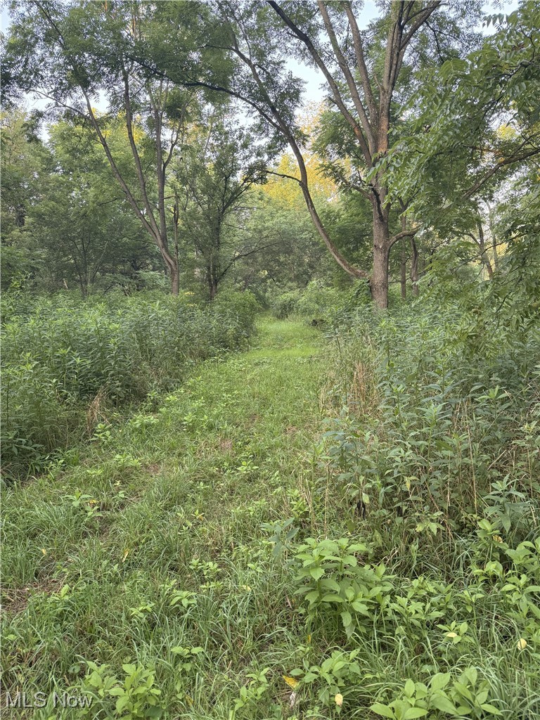 10072 Blade Road Northwest Minerva, OH 44657 - Photo 11 of 17 View of land featuring rural landscape