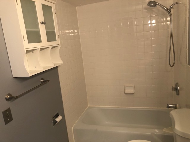 1240 South Lorraine Road, Unit 3A Wheaton, IL 60189 - Photo 11 of 13