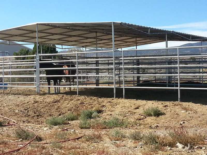 5231 Ruby Caliente, NV 89008 - Photo 14 of 14 Property Photo. Horse Stalls