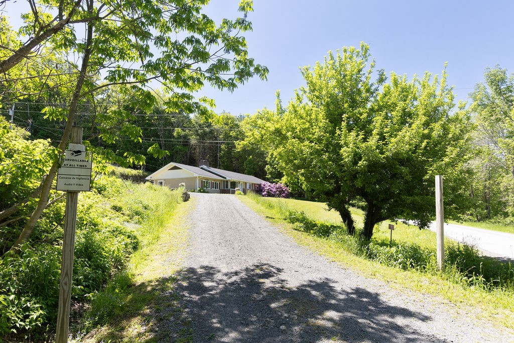 415 Cape Horn Road Gilboa, NY 12167 - Photo 7 of 38 driveway