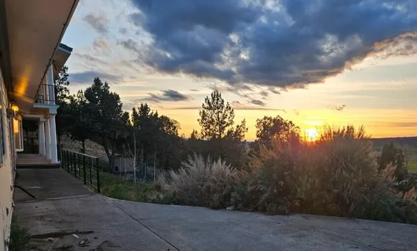 a view of a yard